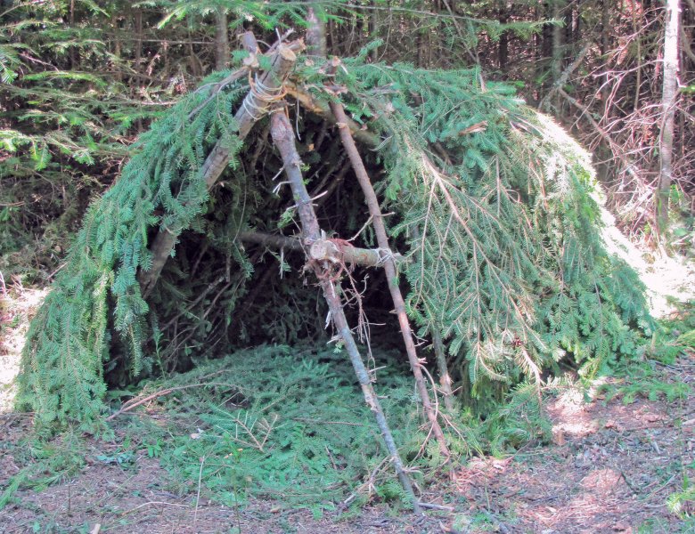 Abris en branches de conifères en forme de trépied